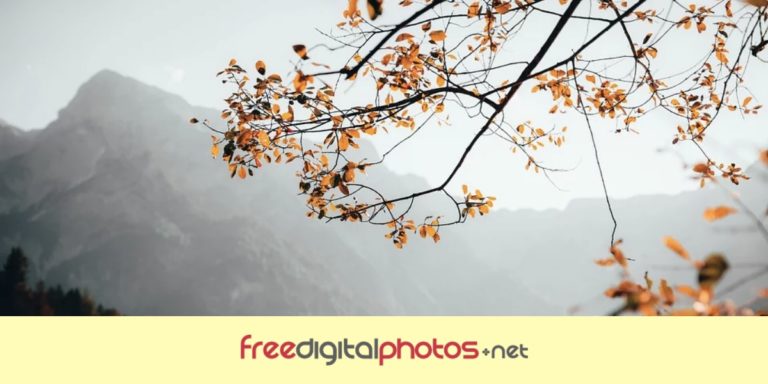 Top 10 Best Website For Copyright Free Images Download